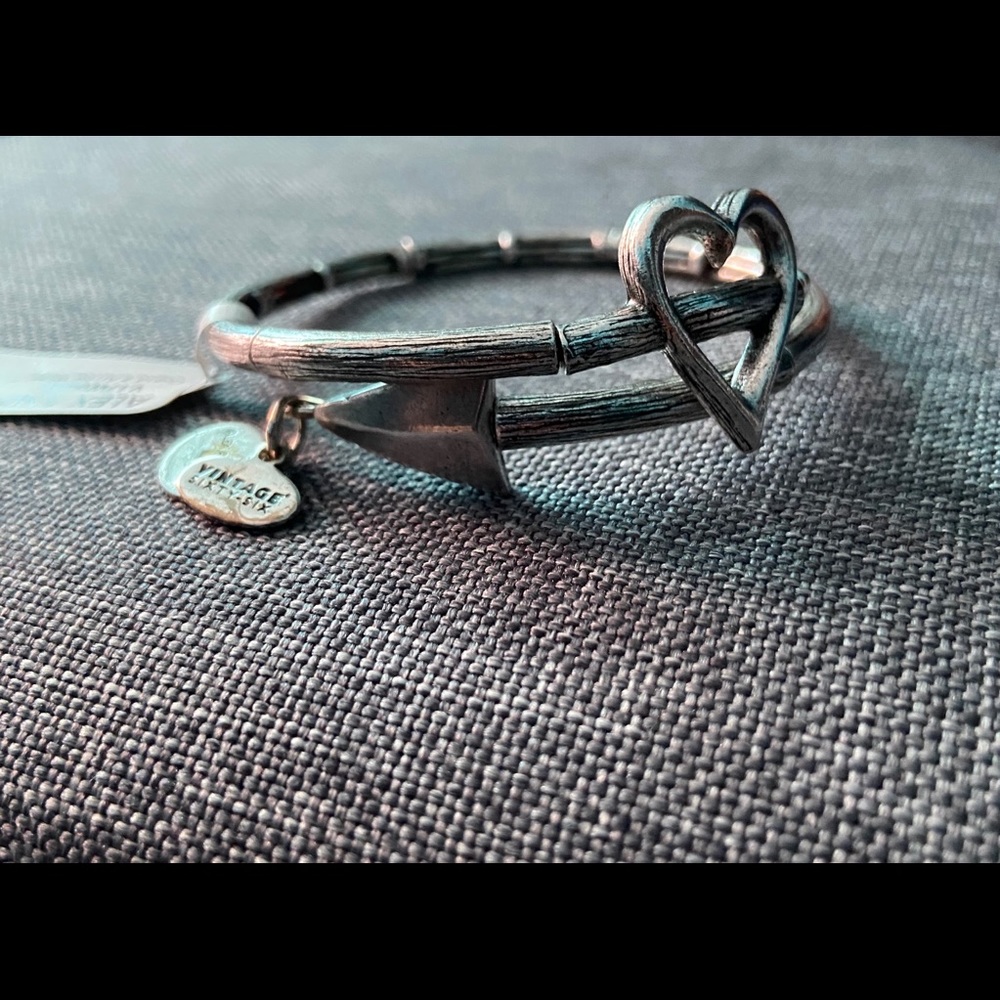 NEW Alex and Ani bracelet - never worn!
